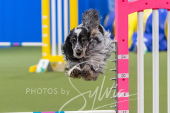 2024-3-10-May-Trial-292