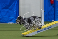 2024-3-10-May-Trial-293