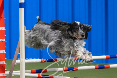 2024-3-10-May-Trial-294