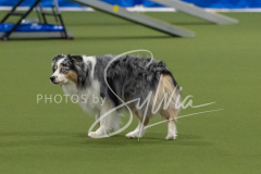 2024-3-10-May-Trial-296