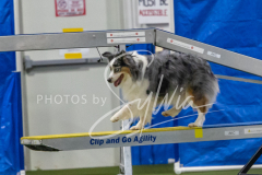 2024-3-10-May-Trial-297