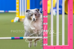 2024-3-10-May-Trial-298