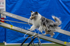 2024-3-10-May-Trial-299