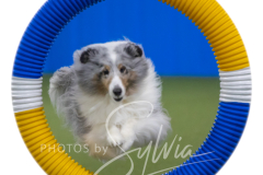 2024-3-10-May-Trial-300