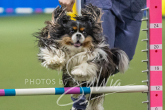 2024-3-10-May-Trial-301