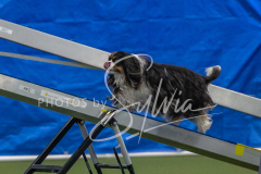 2024-3-10-May-Trial-302