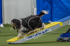 2024-3-10-May-Trial-303