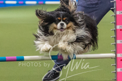 2024-3-10-May-Trial-304