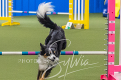 2024-3-10-May-Trial-305