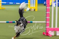 2024-3-10-May-Trial-308