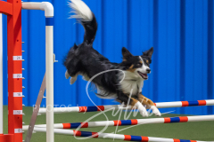 2024-3-10-May-Trial-309