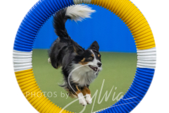 2024-3-10-May-Trial-310