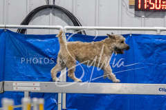 2024-3-10-May-Trial-311