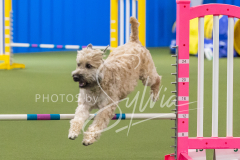 2024-3-10-May-Trial-312