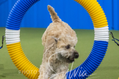 2024-3-10-May-Trial-313