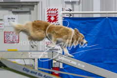 2024-3-10-May-Trial-314