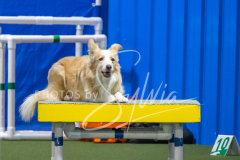 2024-3-10-May-Trial-315