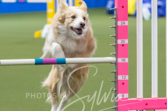 2024-3-10-May-Trial-316