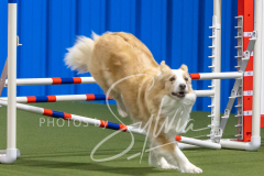 2024-3-10-May-Trial-317