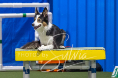 2024-3-10-May-Trial-319