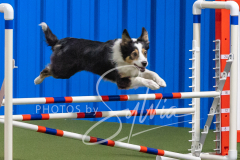 2024-3-10-May-Trial-320