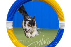 2024-3-10-May-Trial-321