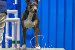 2024-3-10-May-Trial-323