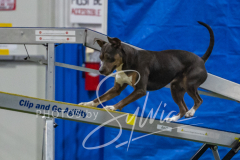 2024-3-10-May-Trial-324