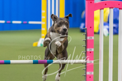 2024-3-10-May-Trial-325