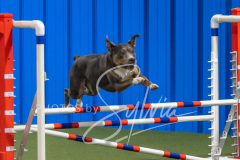 2024-3-10-May-Trial-326