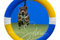 2024-3-10-May-Trial-327