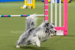 2024-3-10-May-Trial-328