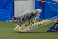 2024-3-10-May-Trial-329