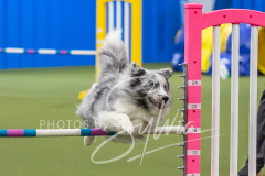 2024-3-10-May-Trial-330