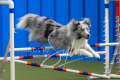 2024-3-10-May-Trial-331