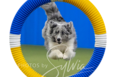 2024-3-10-May-Trial-332