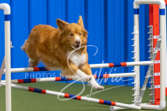 2024-3-10-May-Trial-334