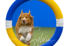 2024-3-10-May-Trial-335