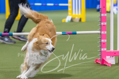 2024-3-10-May-Trial-336