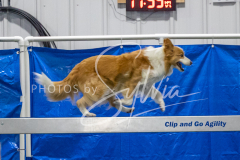 2024-3-10-May-Trial-337