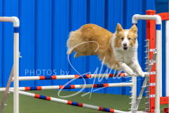 2024-3-10-May-Trial-338