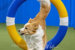 2024-3-10-May-Trial-339