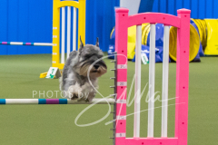 2024-3-10-May-Trial-340