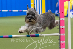 2024-3-10-May-Trial-341