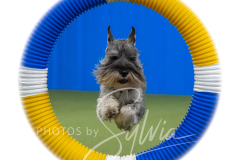 2024-3-10-May-Trial-342