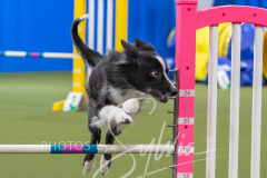 2024-3-10-May-Trial-343