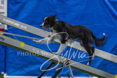 2024-3-10-May-Trial-344