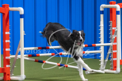 2024-3-10-May-Trial-345