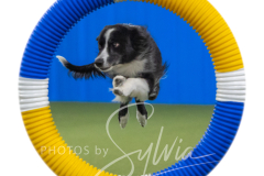 2024-3-10-May-Trial-346