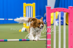 2024-3-10-May-Trial-348